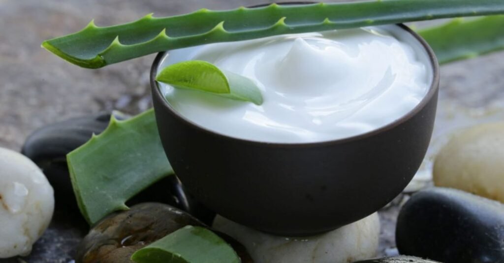 What Is the Aloe Vera Plant For: Scientific Proof of the Benefits of Aloe Vera