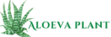 aloeva plant